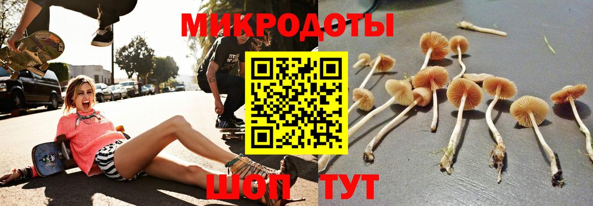 Галлюциногенные грибы прущие грибы  Вход с VPN  Великий Устюг 